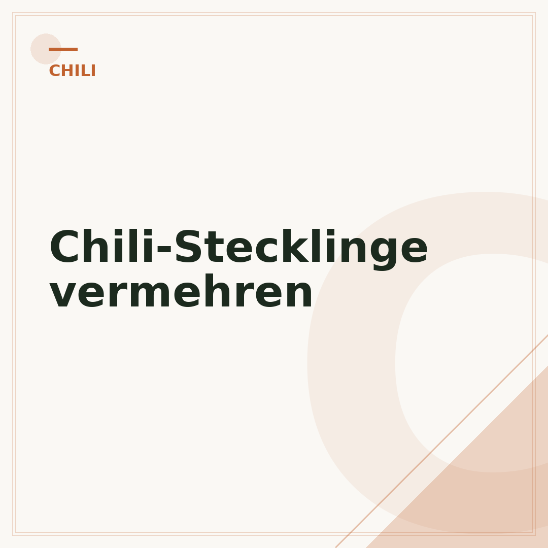 Chili-Stecklinge vermehren
