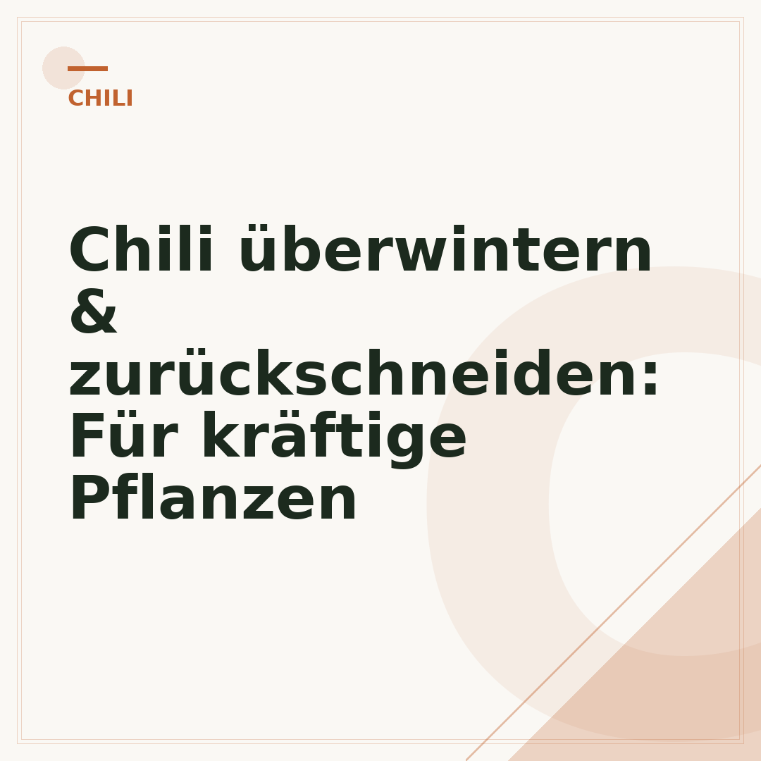 Chili überwintern & zurückschneiden: Für kräftige Pflanzen
