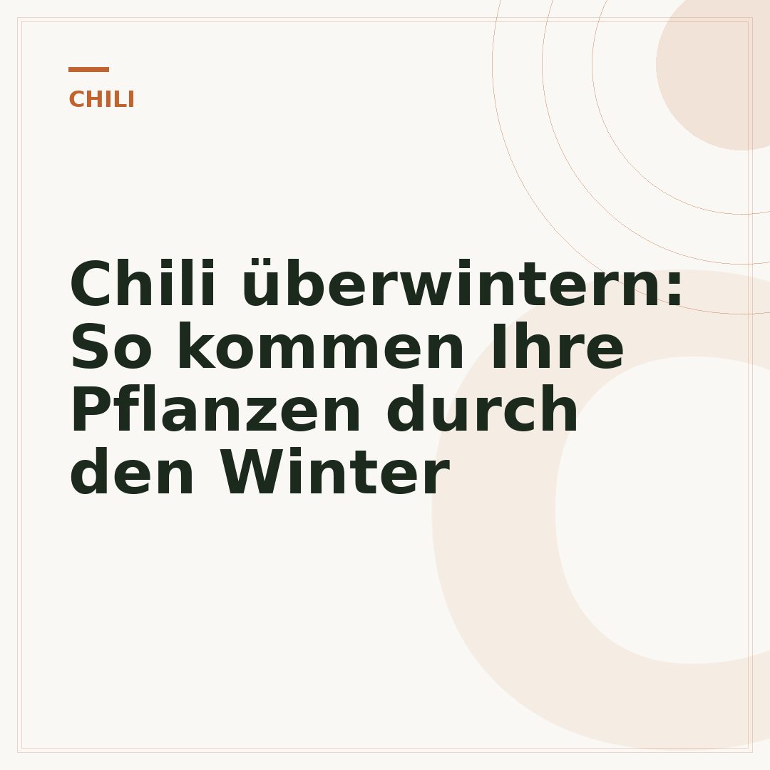 Chili überwintern: So kommen Ihre Pflanzen durch den Winter