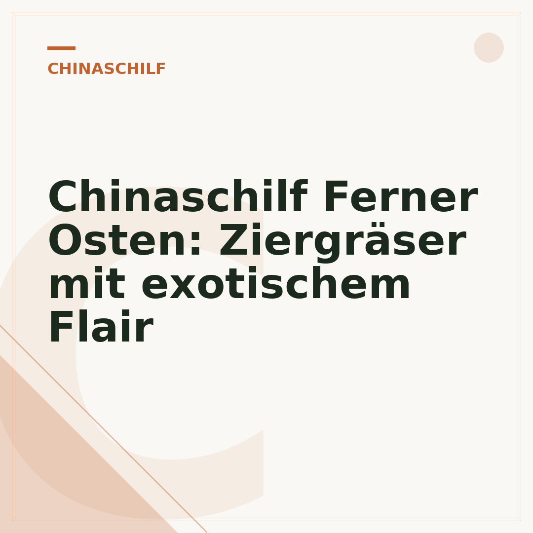 Chinaschilf Ferner Osten: Ziergräser mit exotischem Flair