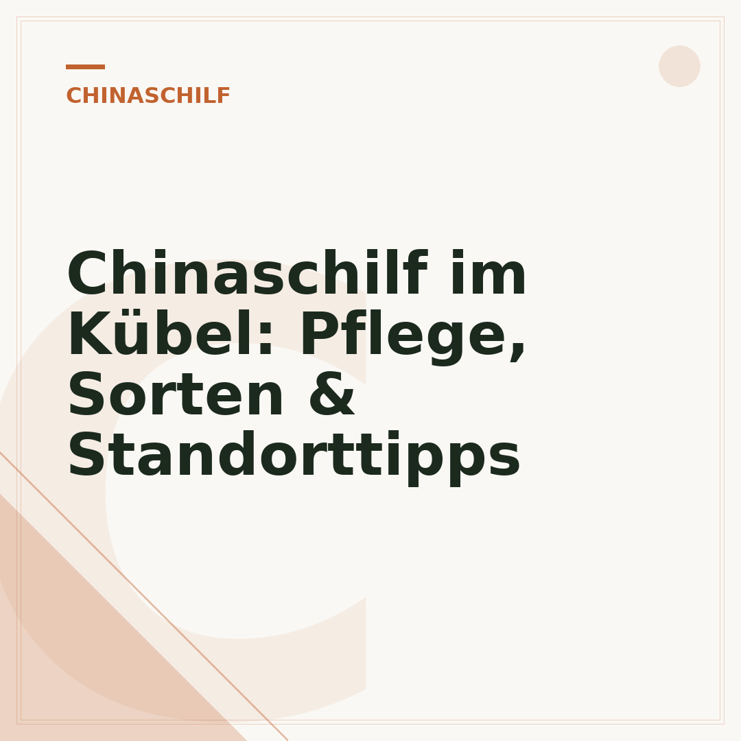 Chinaschilf im Kübel: Pflege, Sorten & Standorttipps