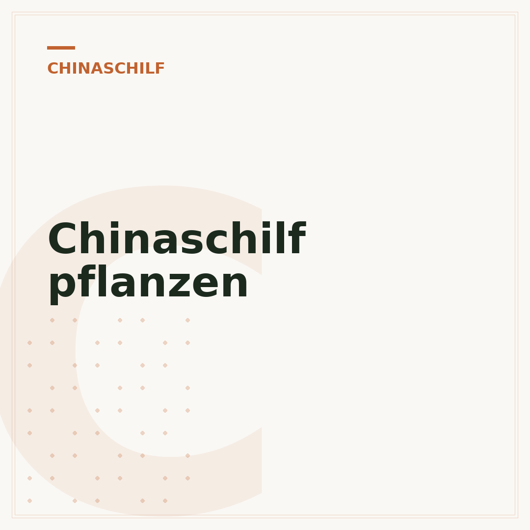 Chinaschilf pflanzen