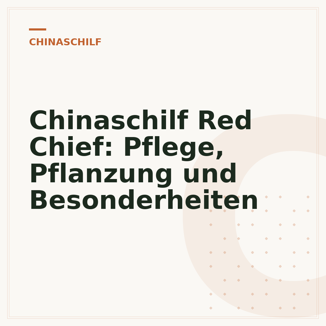 Chinaschilf Red Chief: Pflege, Pflanzung und Besonderheiten