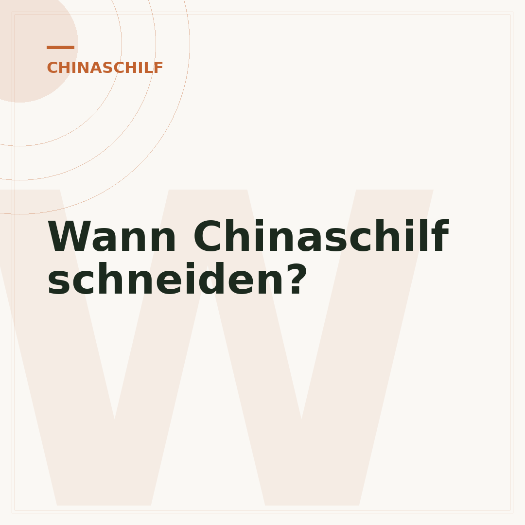 Wann Chinaschilf schneiden?