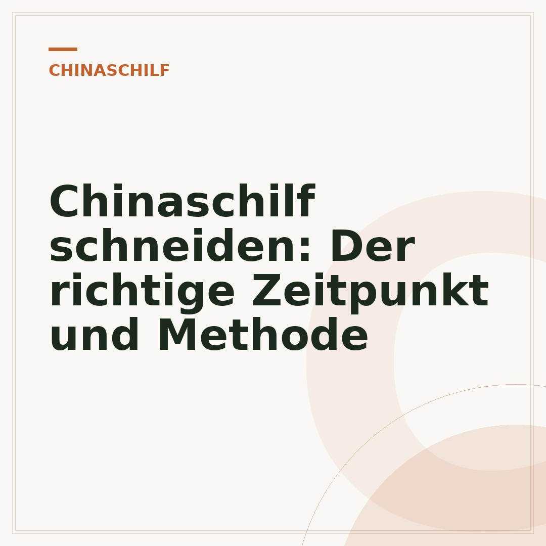Chinaschilf schneiden: Der richtige Zeitpunkt und Methode