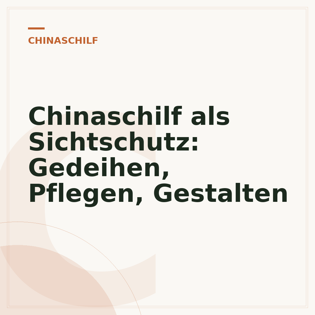 Chinaschilf als Sichtschutz: Gedeihen, Pflegen, Gestalten