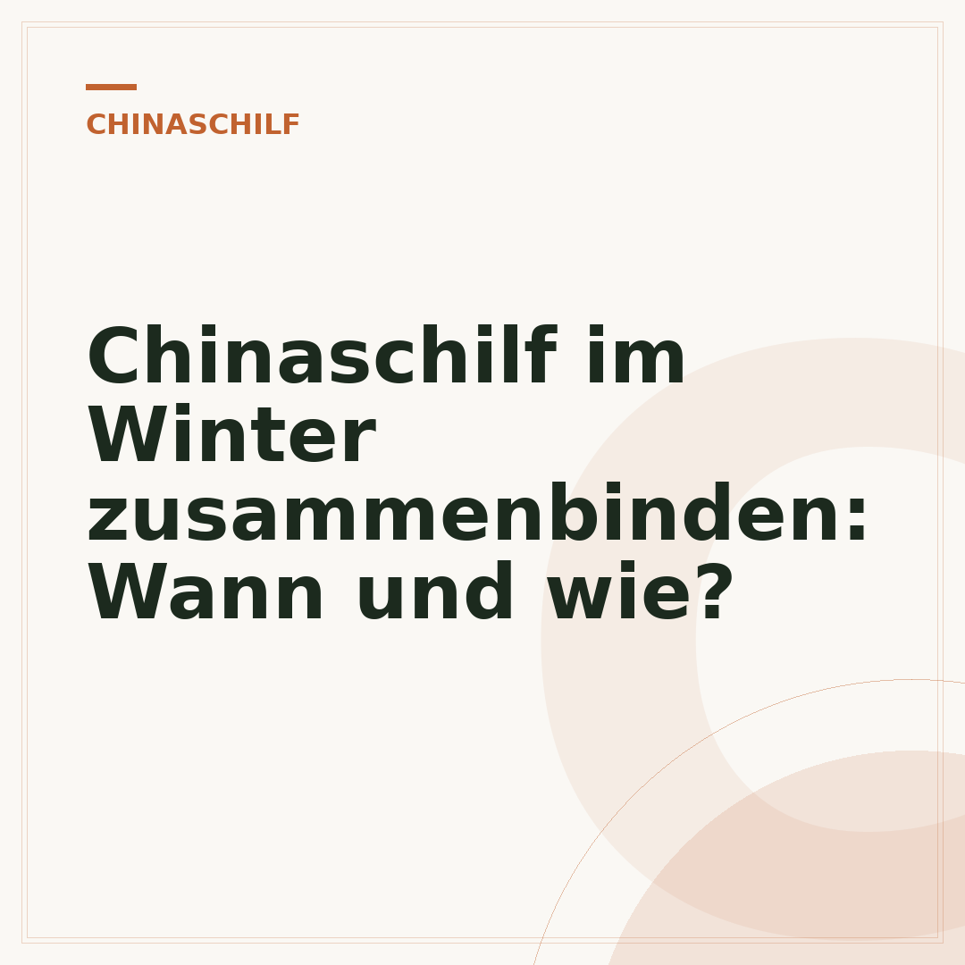 Chinaschilf im Winter zusammenbinden: Wann und wie?