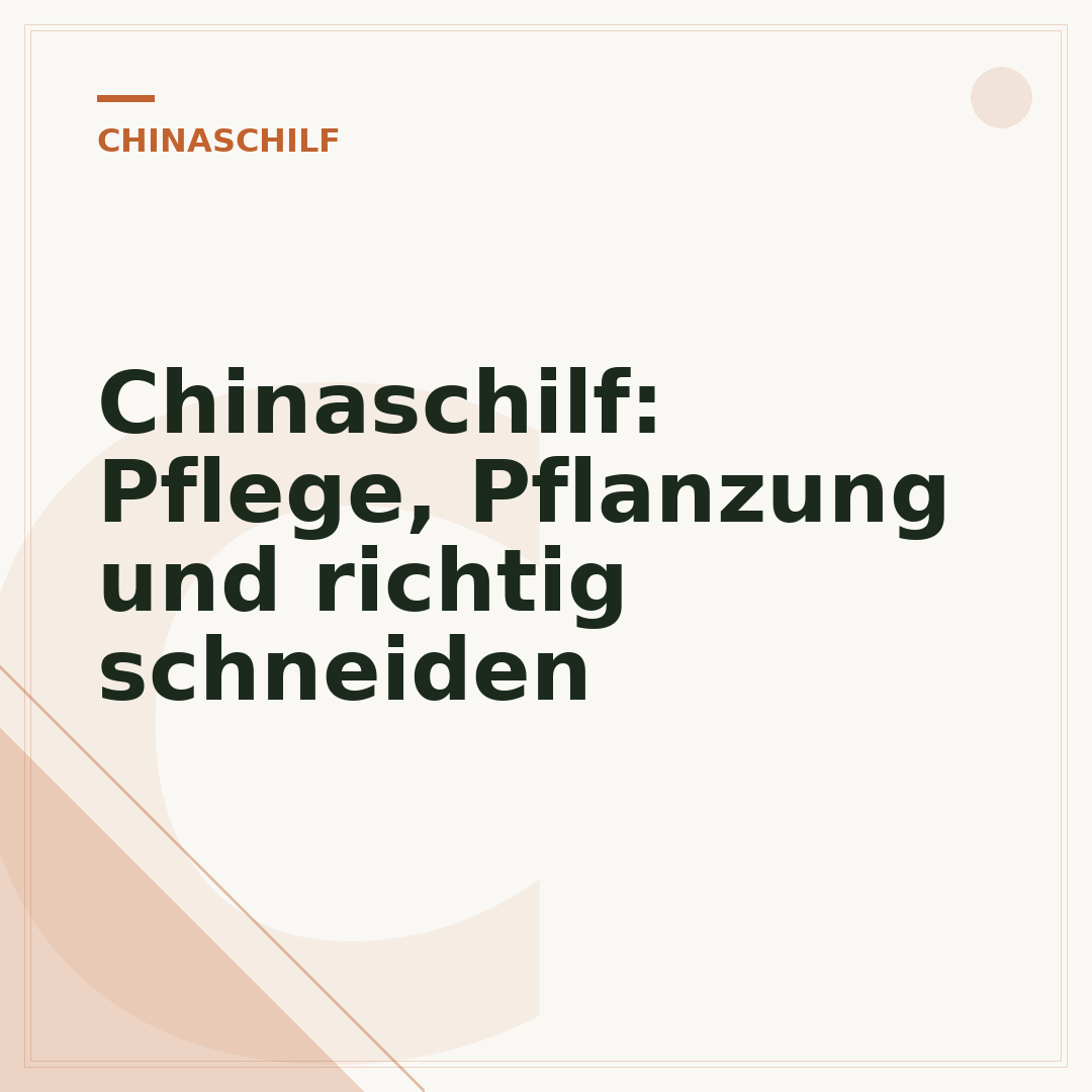 Chinaschilf: Pflege, Pflanzung und richtig schneiden
