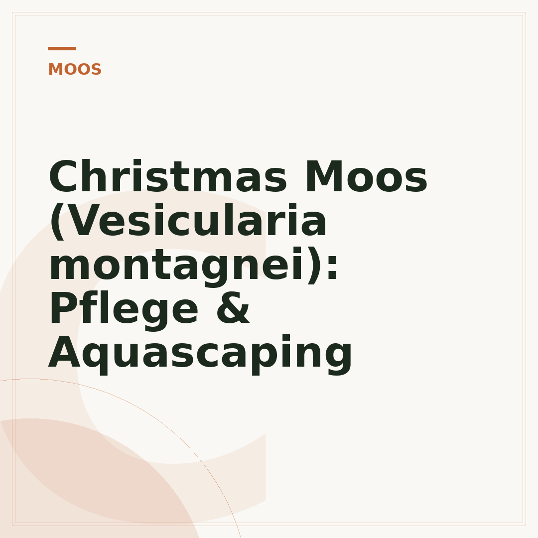 Christmas Moos (Vesicularia montagnei): Pflege & Aquascaping