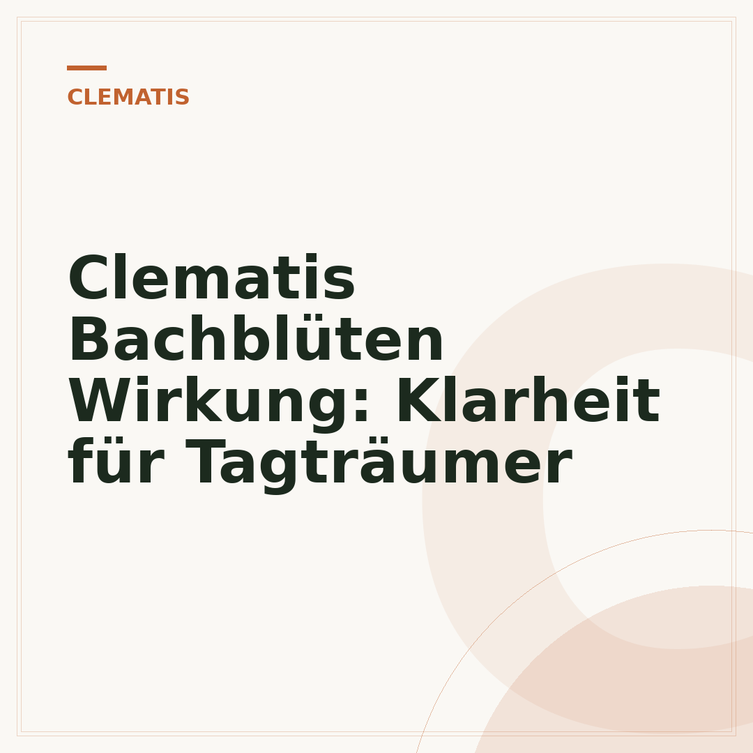 Clematis Bachblüten Wirkung: Klarheit für Tagträumer