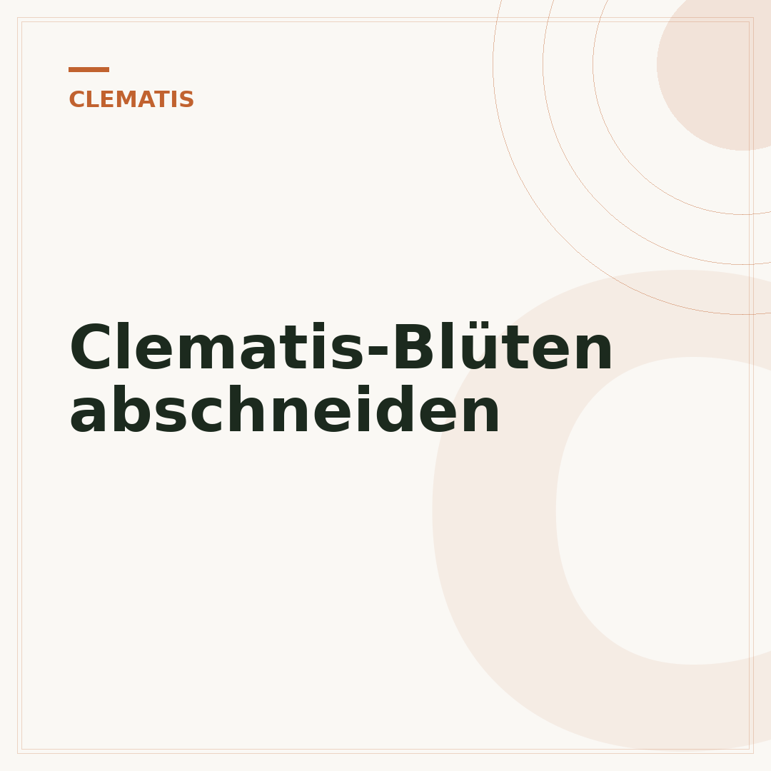 Clematis-Blüten abschneiden