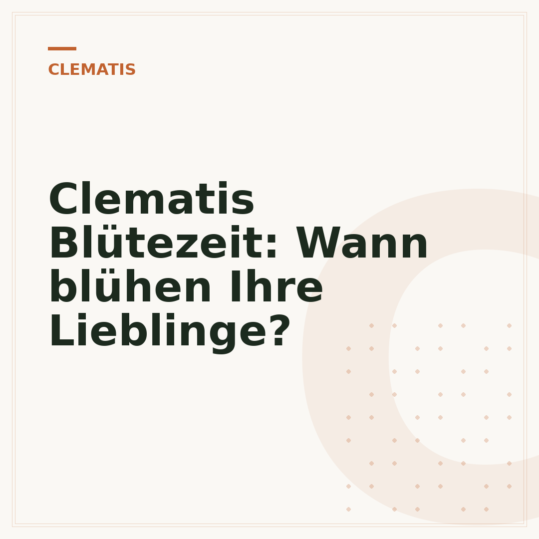 Clematis Blütezeit: Wann blühen Ihre Lieblinge?