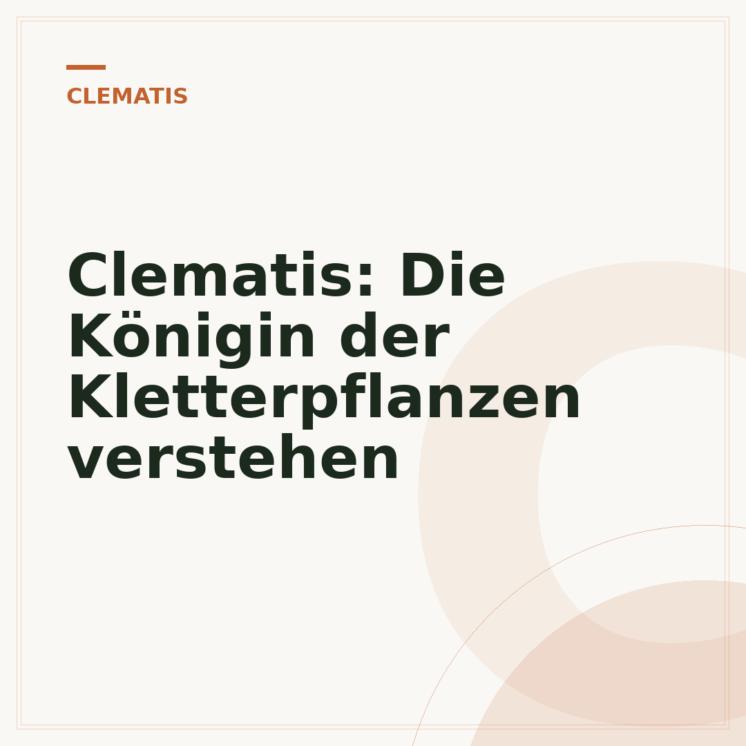 Clematis: Die Königin der Kletterpflanzen verstehen