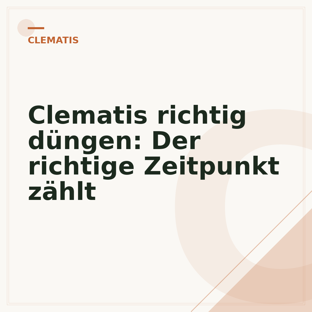 Clematis richtig düngen: Der richtige Zeitpunkt zählt