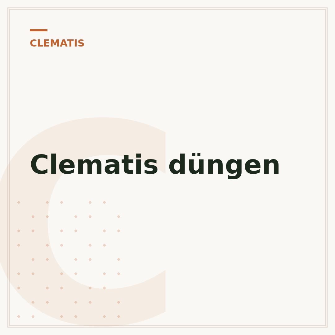 Clematis düngen