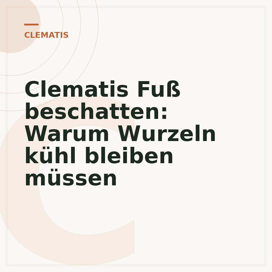 Clematis Fuß beschatten: Warum Wurzeln kühl bleiben müssen