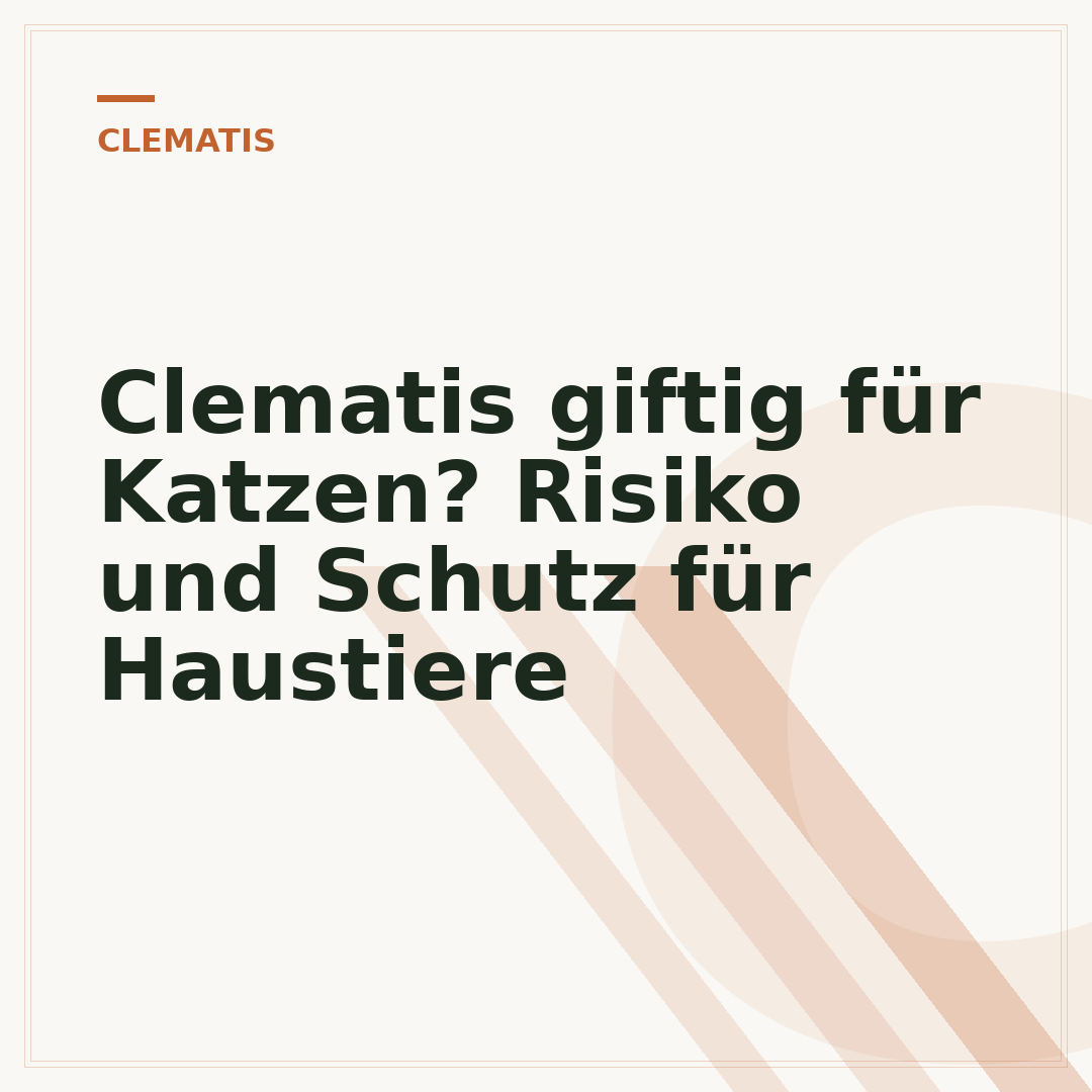 Clematis giftig für Katzen? Risiko und Schutz für Haustiere