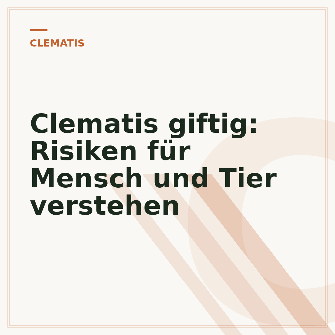 Clematis giftig: Risiken für Mensch und Tier verstehen