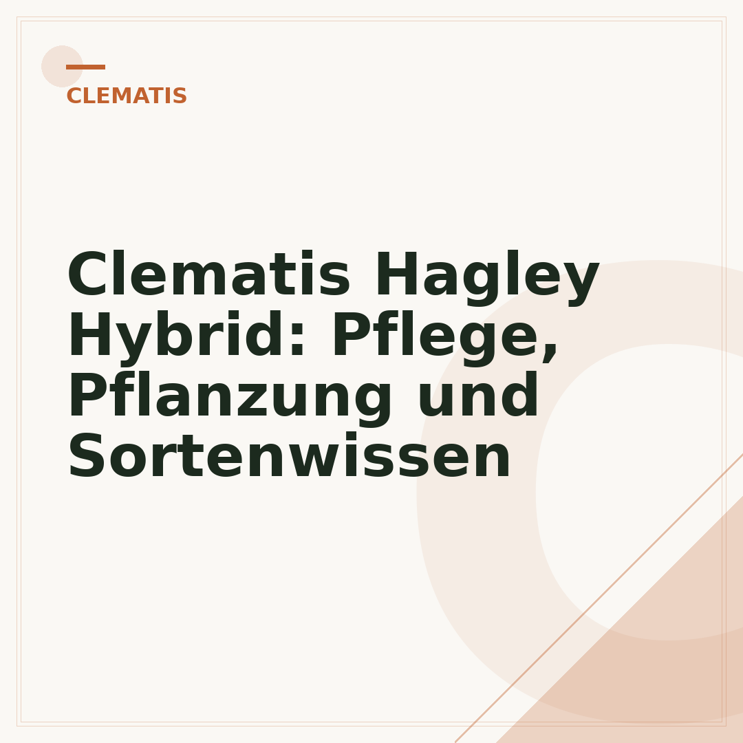 Clematis Hagley Hybrid: Pflege, Pflanzung und Sortenwissen