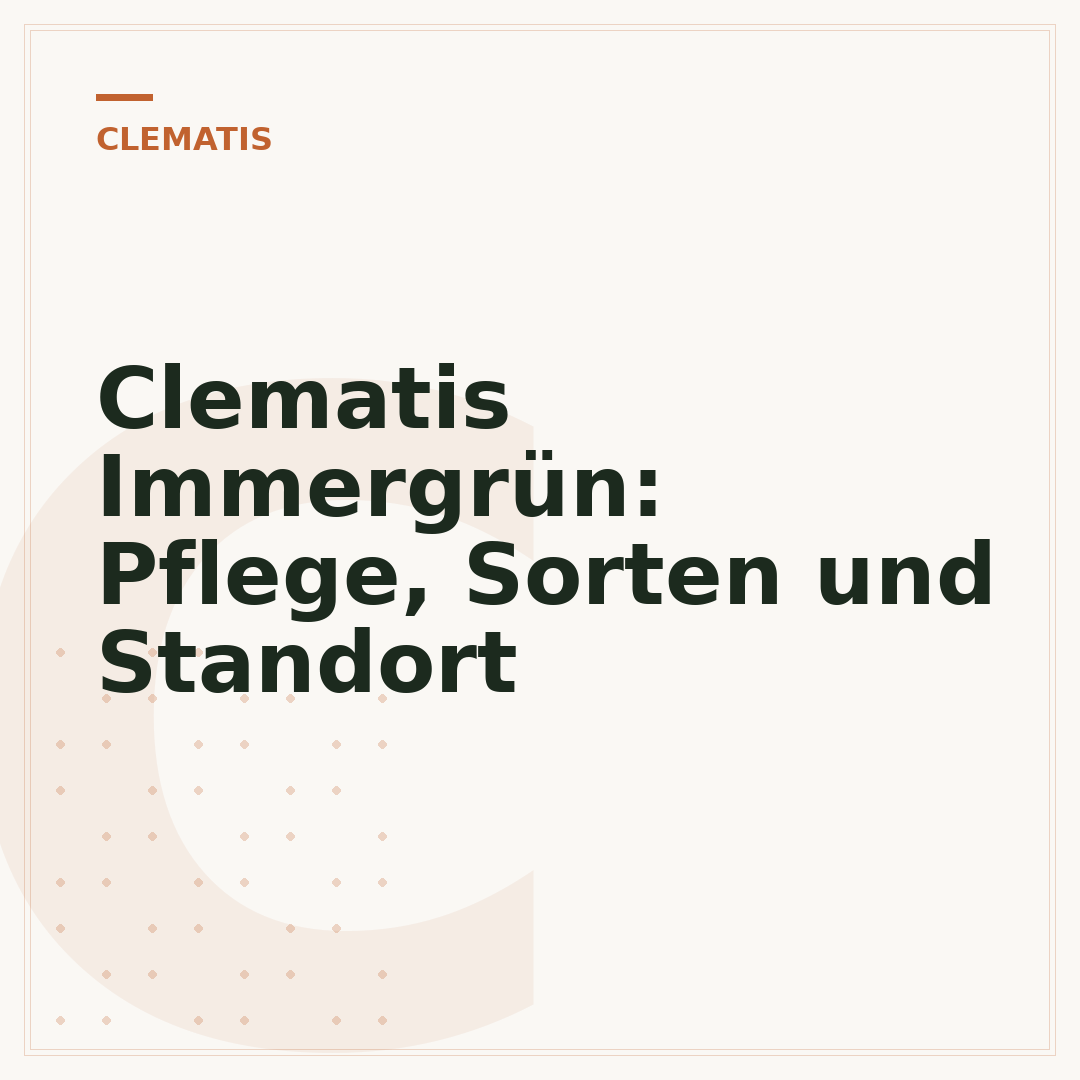 Clematis Immergrün: Pflege, Sorten und Standort