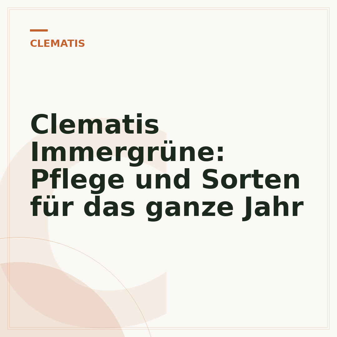 Clematis Immergrüne: Pflege und Sorten für das ganze Jahr