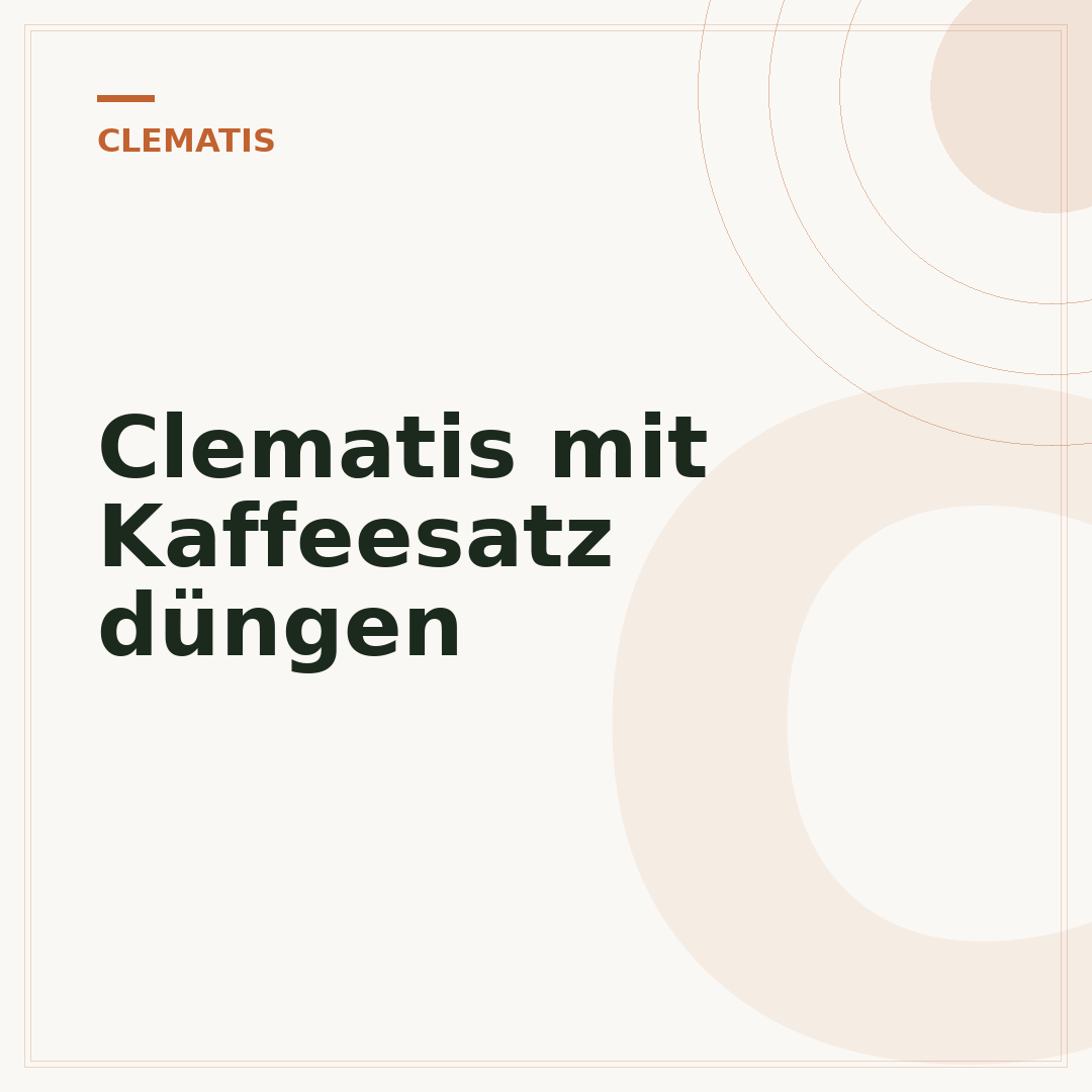 Clematis mit Kaffeesatz düngen