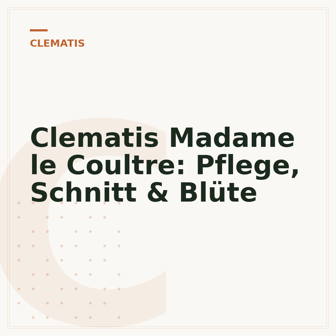 Clematis Madame le Coultre: Pflege, Schnitt & Blüte
