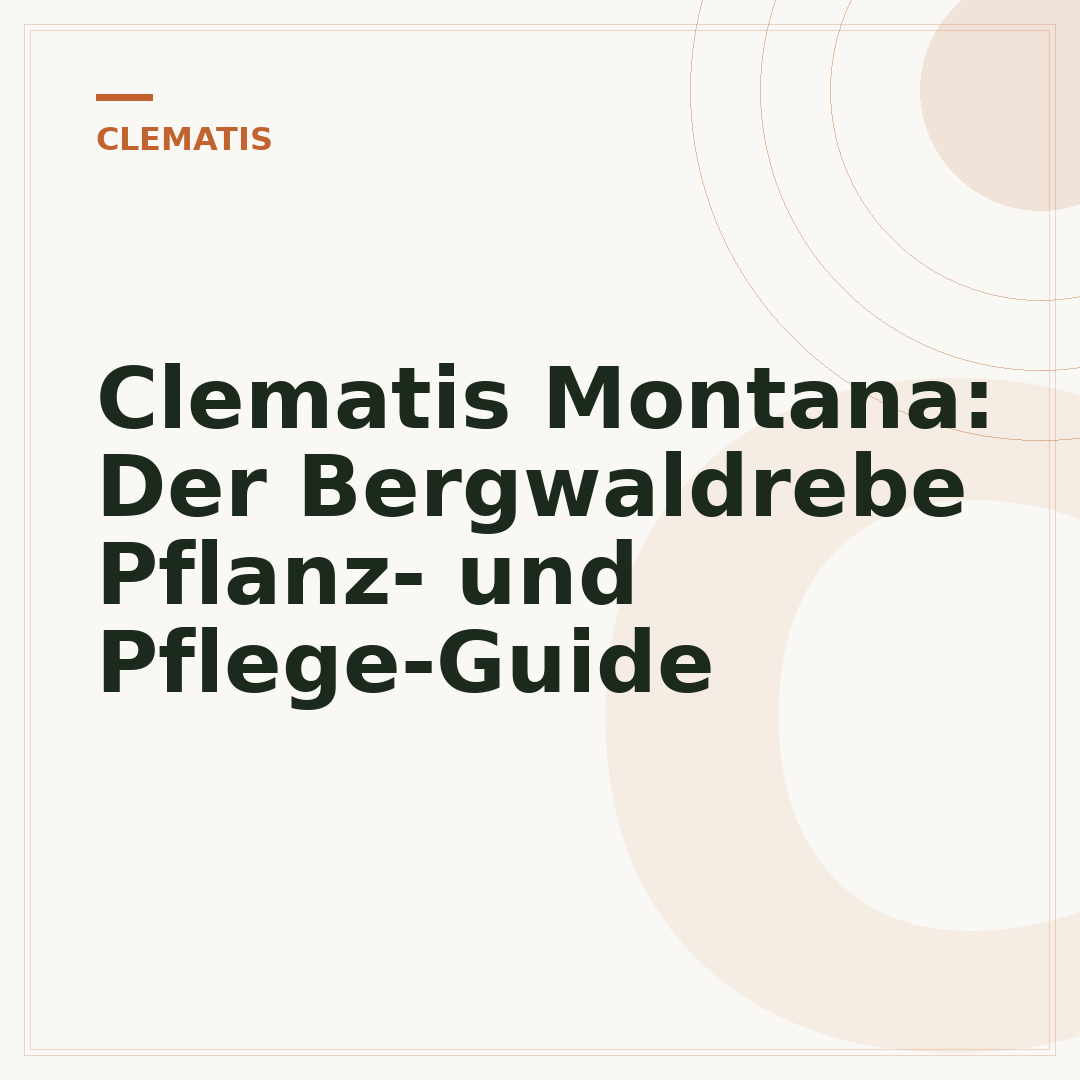 Clematis Montana: Der Bergwaldrebe Pflanz- und Pflege-Guide