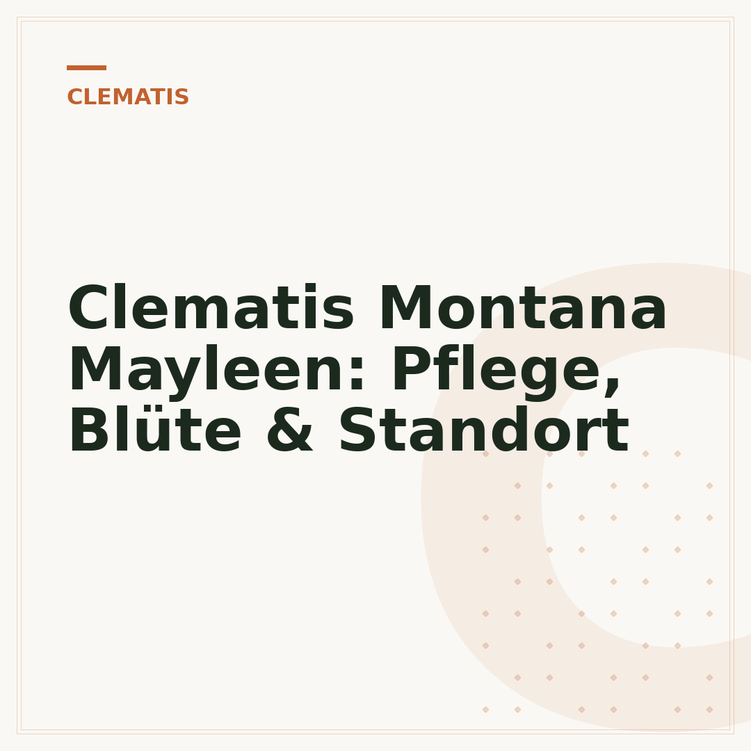 Clematis Montana Mayleen: Pflege, Blüte & Standort