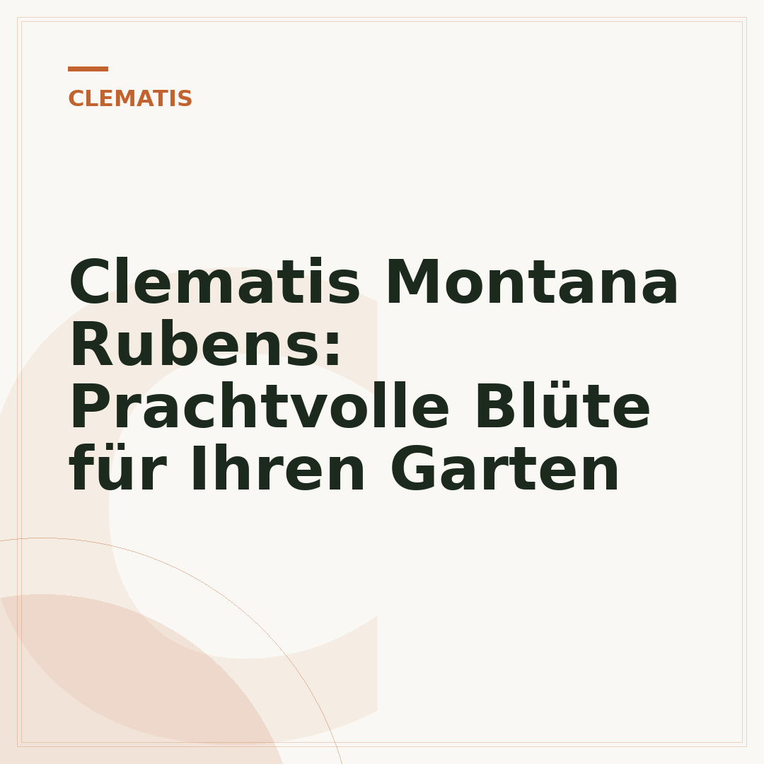 Clematis Montana Rubens: Prachtvolle Blüte für Ihren Garten