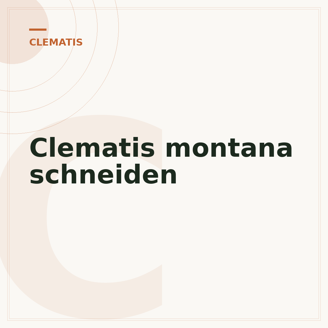 Clematis montana schneiden