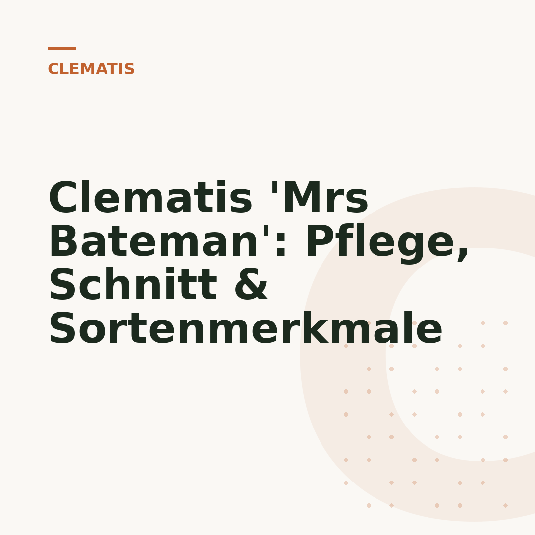 Clematis 'Mrs Bateman': Pflege, Schnitt & Sortenmerkmale