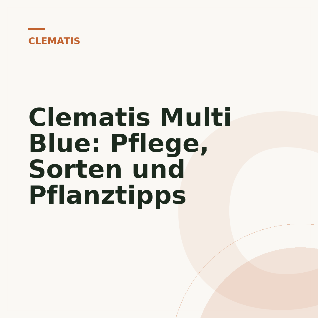 Clematis Multi Blue: Pflege, Sorten und Pflanztipps