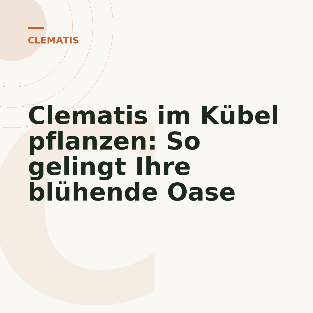 Clematis im Kübel pflanzen: So gelingt Ihre blühende Oase