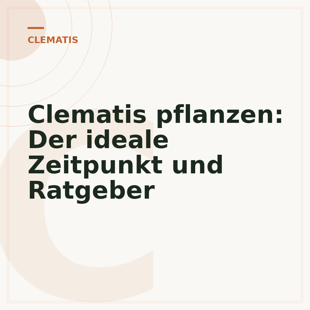 Clematis pflanzen: Der ideale Zeitpunkt und Ratgeber