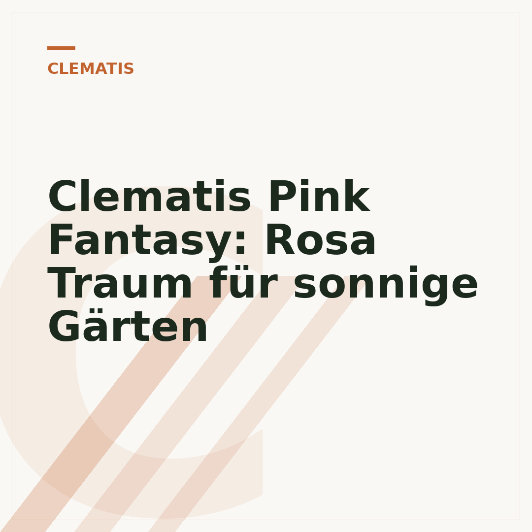 Clematis Pink Fantasy: Rosa Traum für sonnige Gärten