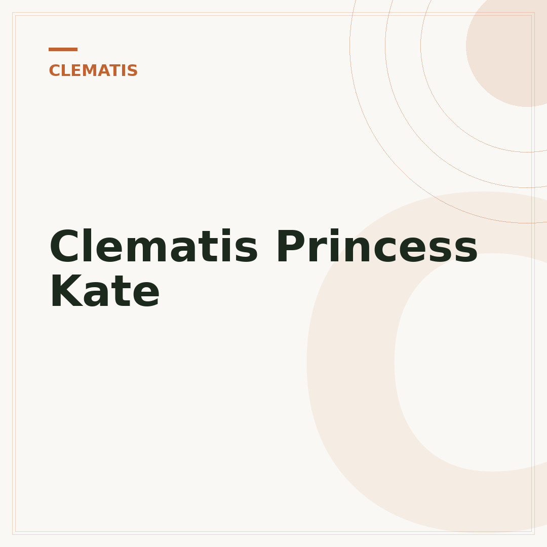 Clematis Princess Kate