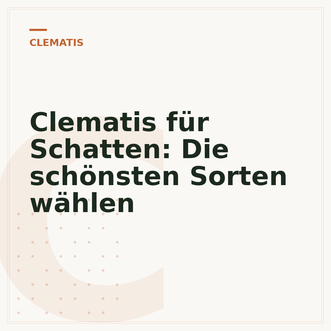 Clematis für Schatten: Die schönsten Sorten wählen