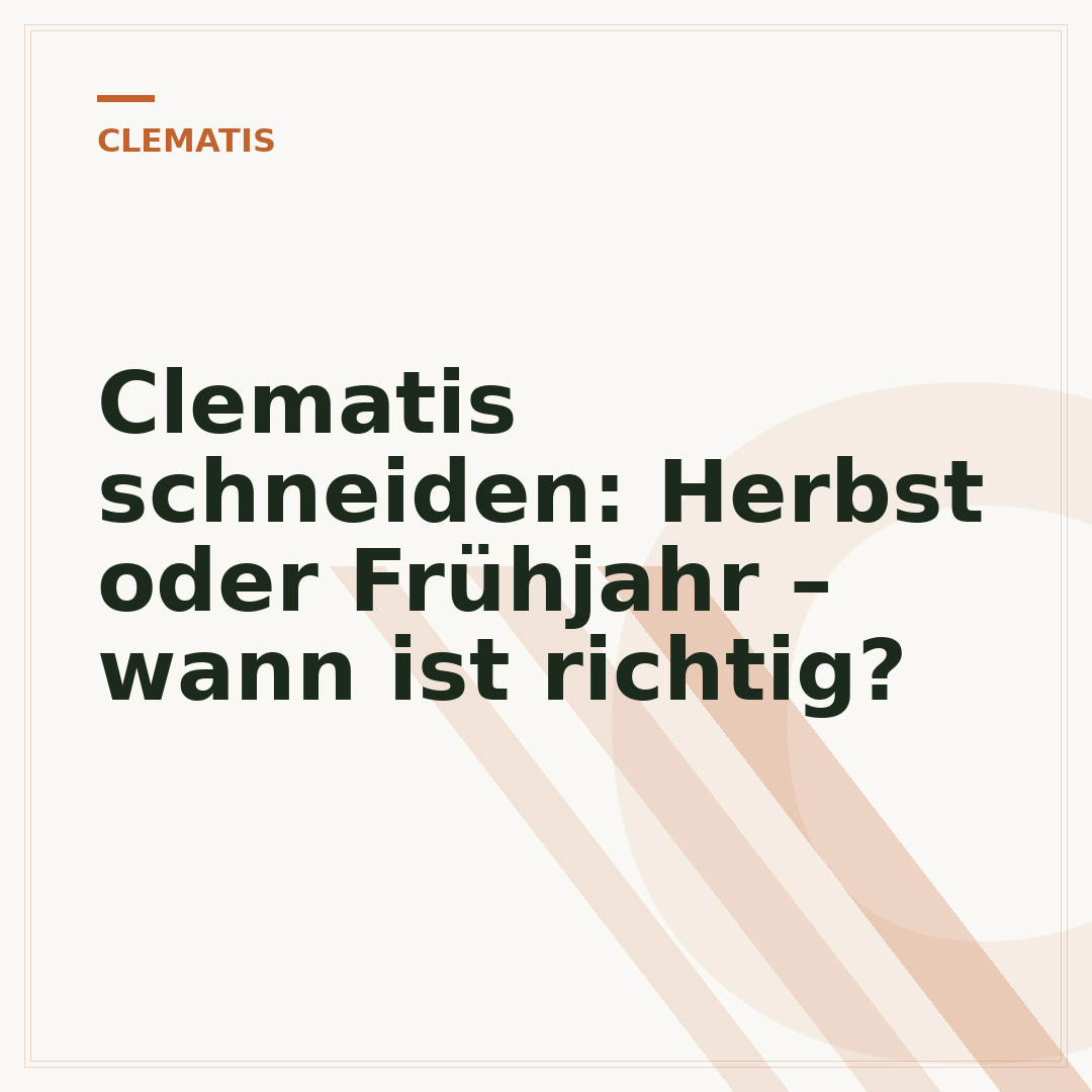 Clematis schneiden: Herbst oder Frühjahr – wann ist richtig?