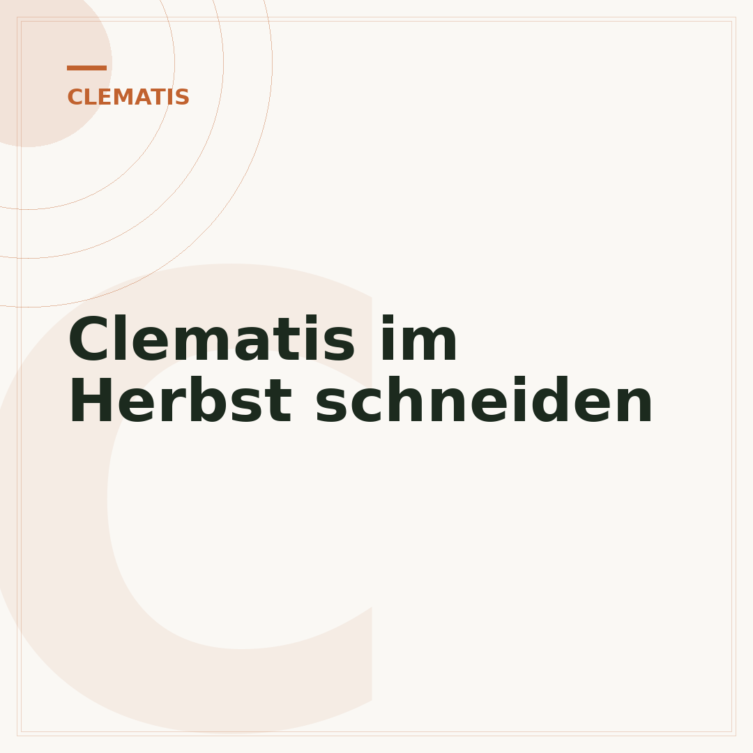 Clematis im Herbst schneiden