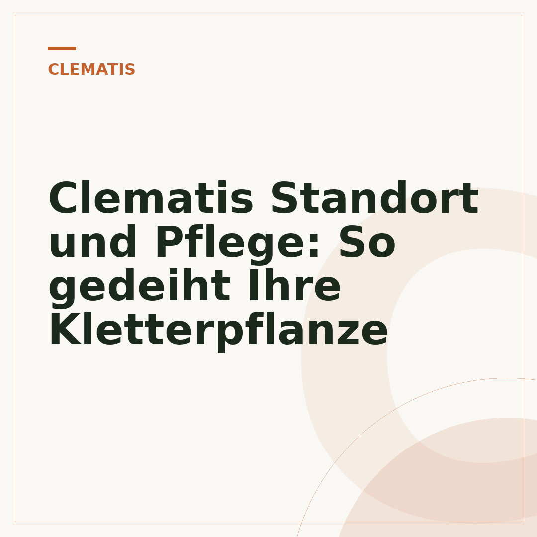 Clematis Standort und Pflege: So gedeiht Ihre Kletterpflanze