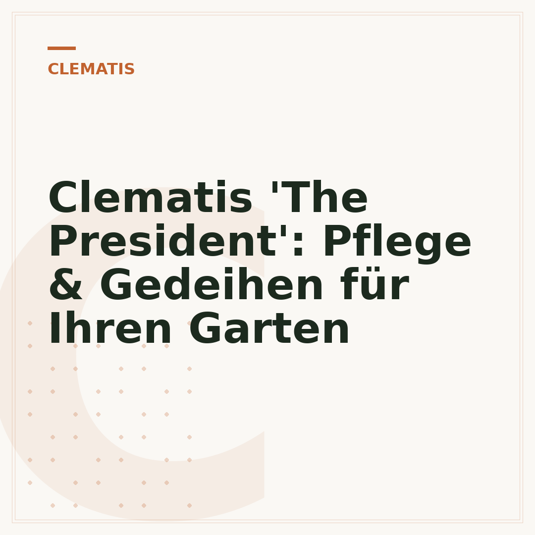 Clematis 'The President': Pflege & Gedeihen für Ihren Garten