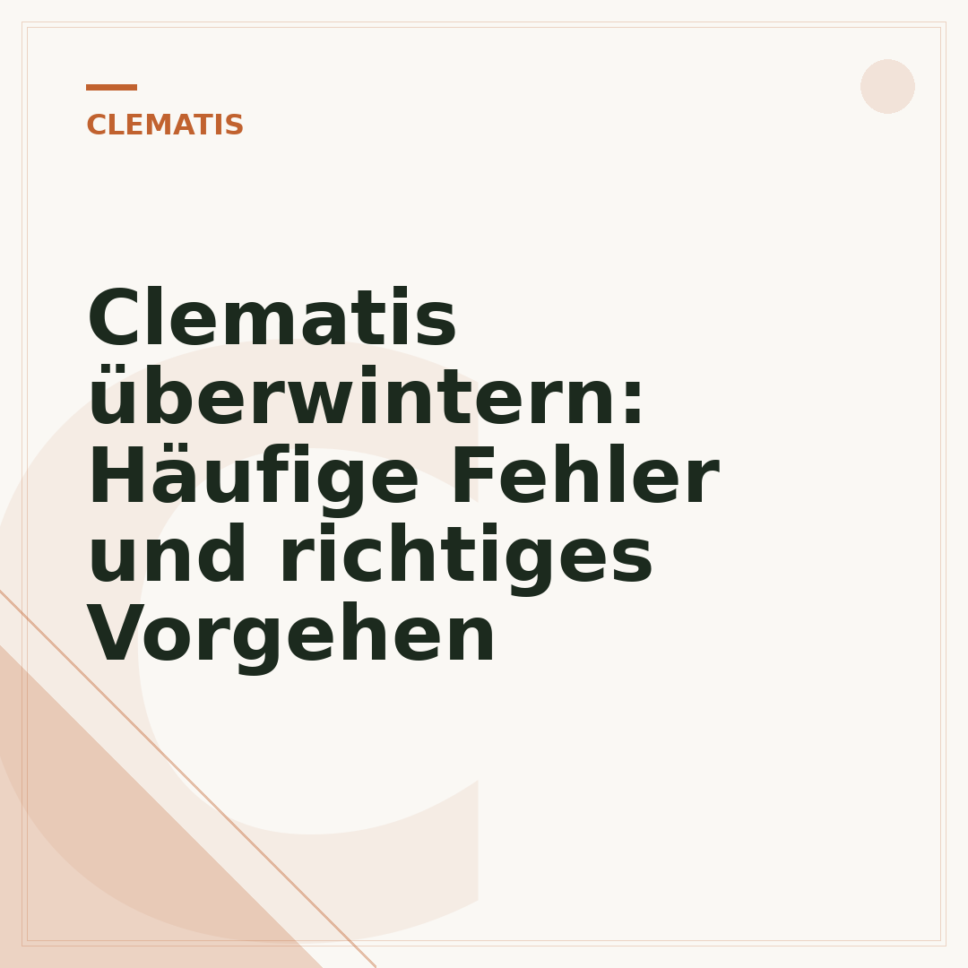 Clematis überwintern: Häufige Fehler und richtiges Vorgehen