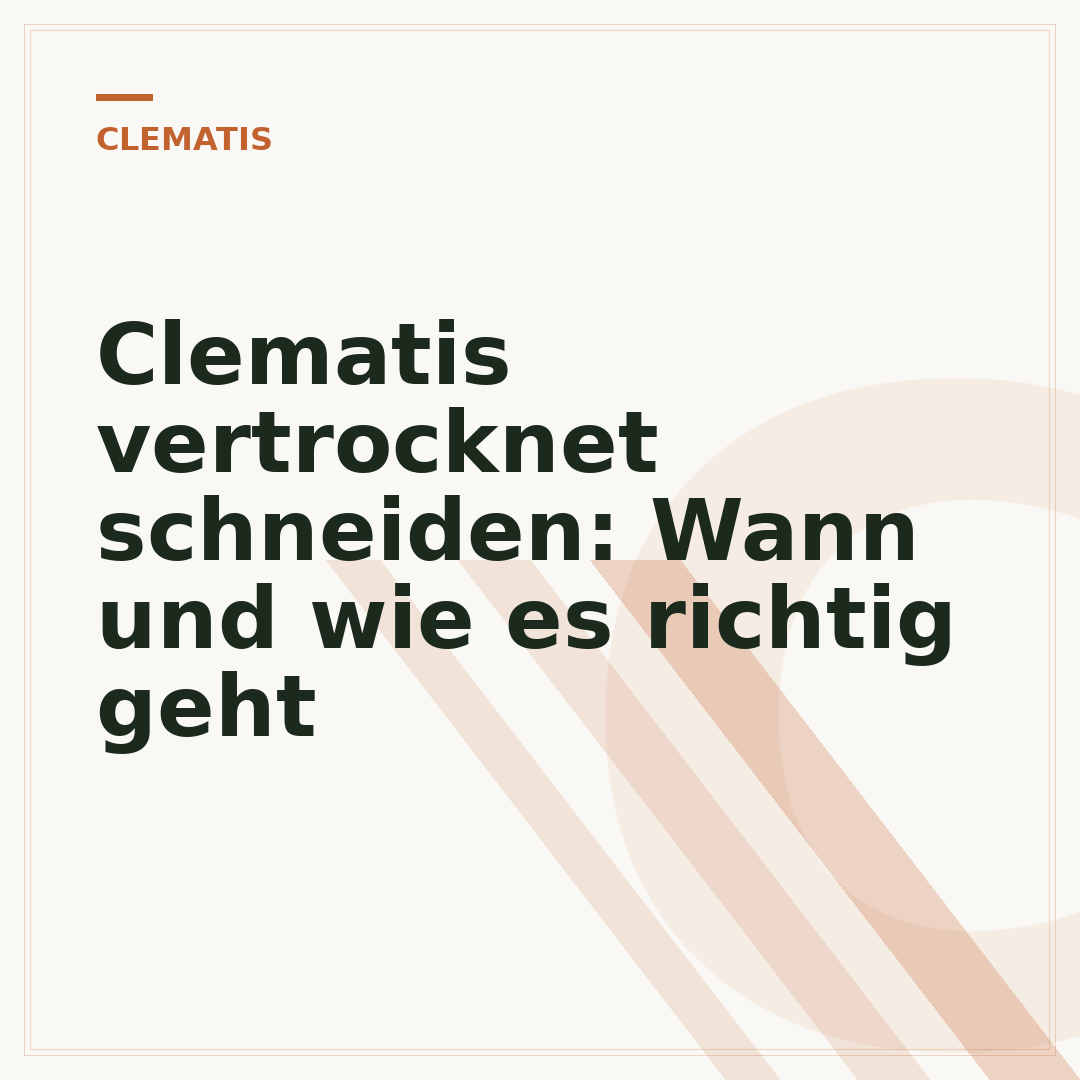 Clematis vertrocknet schneiden: Wann und wie es richtig geht