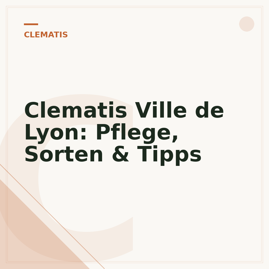 Clematis Ville de Lyon: Pflege, Sorten & Tipps