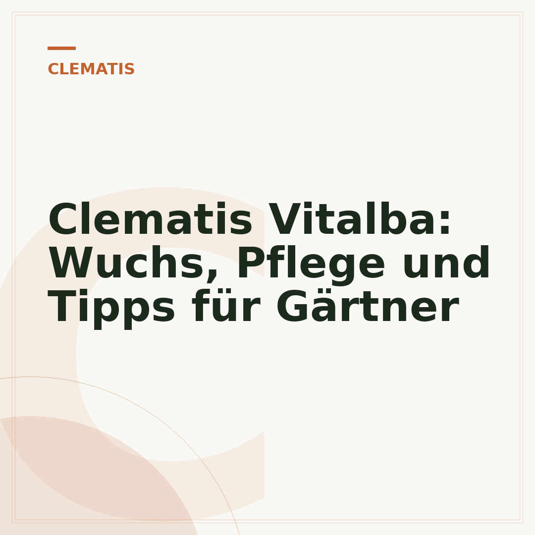 Clematis Vitalba: Wuchs, Pflege und Tipps für Gärtner