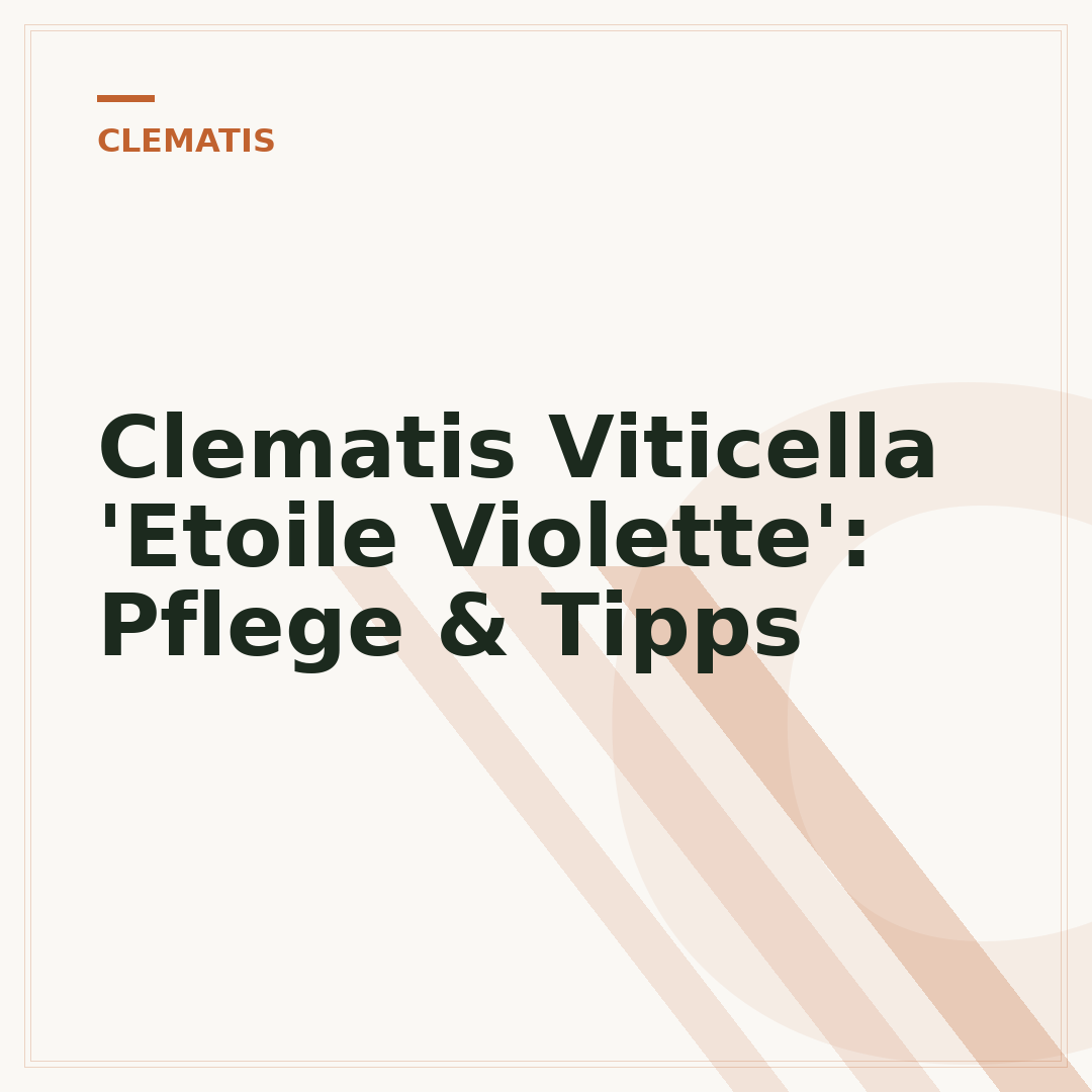 Clematis Viticella 'Etoile Violette': Pflege & Tipps