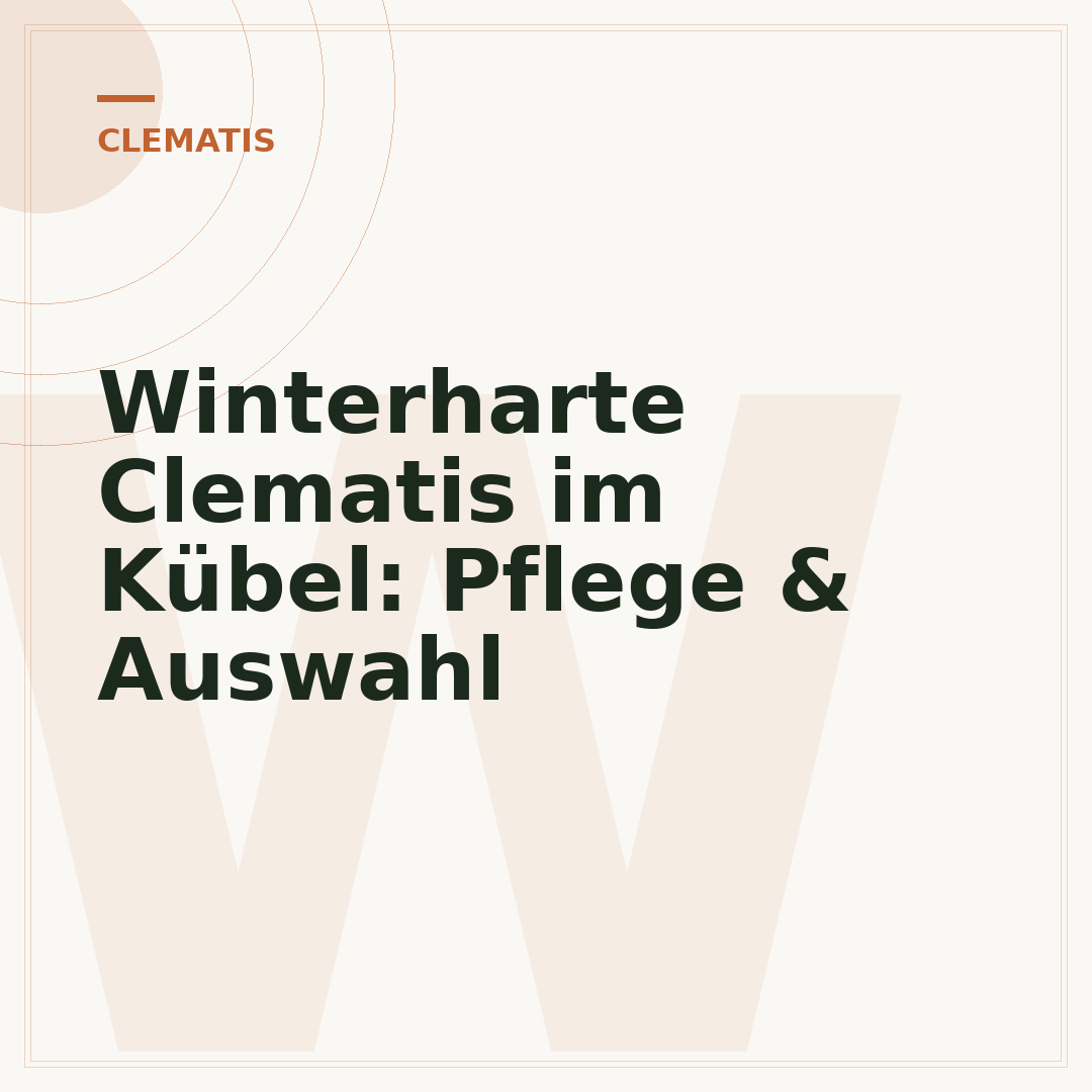 Winterharte Clematis im Kübel: Pflege & Auswahl