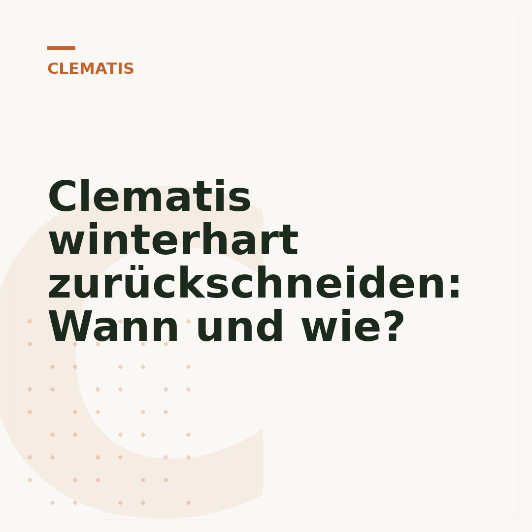 Clematis winterhart zurückschneiden: Wann und wie?