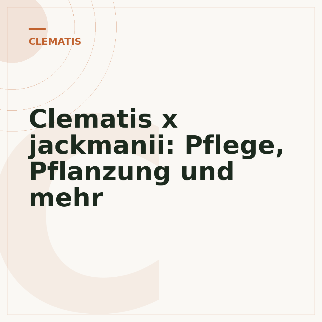 Clematis x jackmanii: Pflege, Pflanzung und mehr